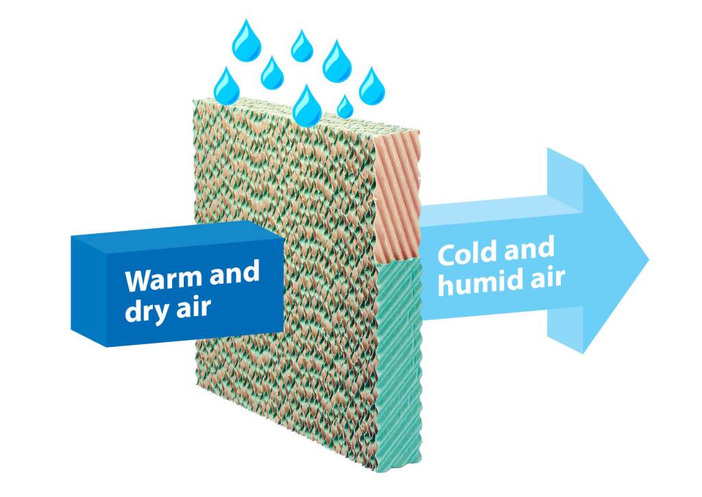 Cooling pad, Almeco