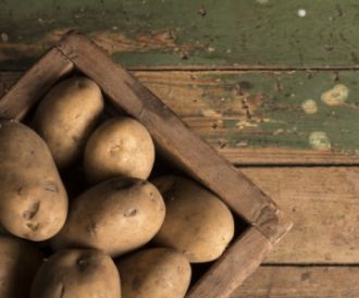 fans potato